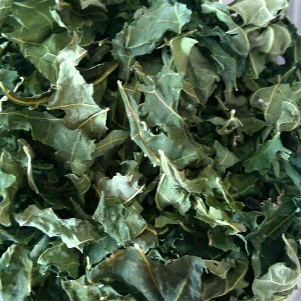 ชาใบมะละกอแห้ง(Dried Papaya Leaf for Tea) | butterflypea5 - ศรีสำโรง สุโขทัย