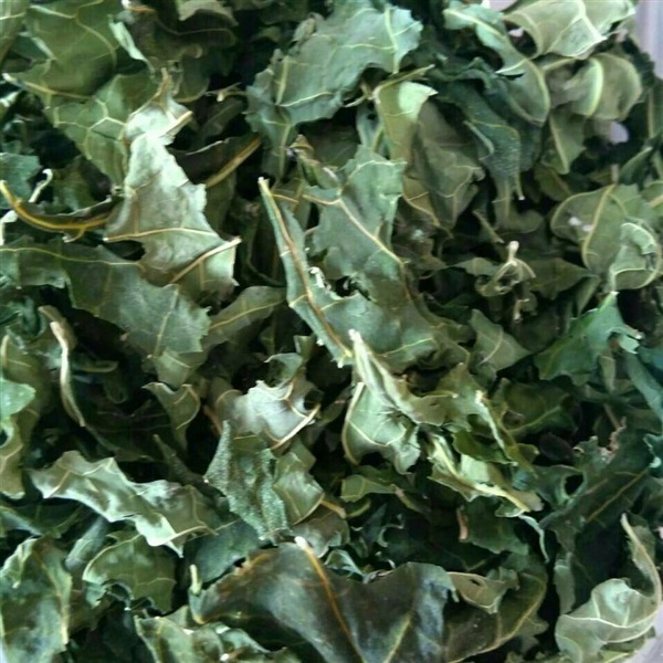 ชาใบมะละกอแห้ง(Dried Papaya Leaf for Tea)