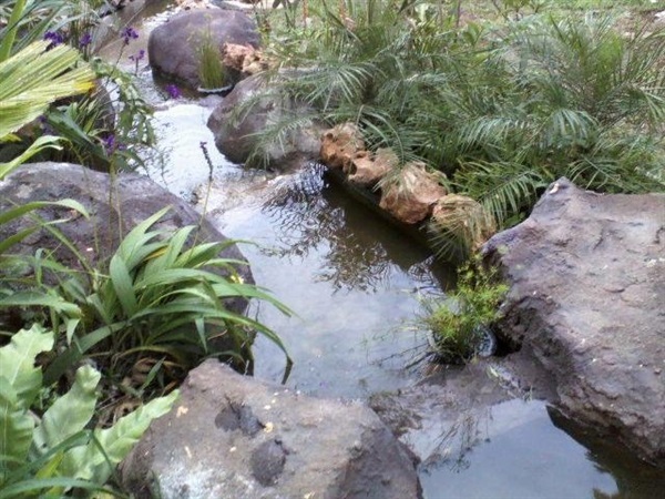 ลำธาร สวนป่า สวนน้ำตก หินเทียม ธารน้ำ ลำธาร | ปิยพัทธ์หญ้าจัดสวน -  กรุงเทพมหานคร