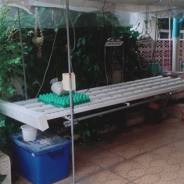 แปลงปลูกผักไฮโดรโปนิกส์ | Chanansikan - เมืองนนทบุรี นนทบุรี