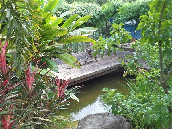 รับจัดสวน สวนป่า สวนน้ำตก สวนทุกรูปแบบ | ปิยพัทธ์หญ้าจัดสวน -  กรุงเทพมหานคร