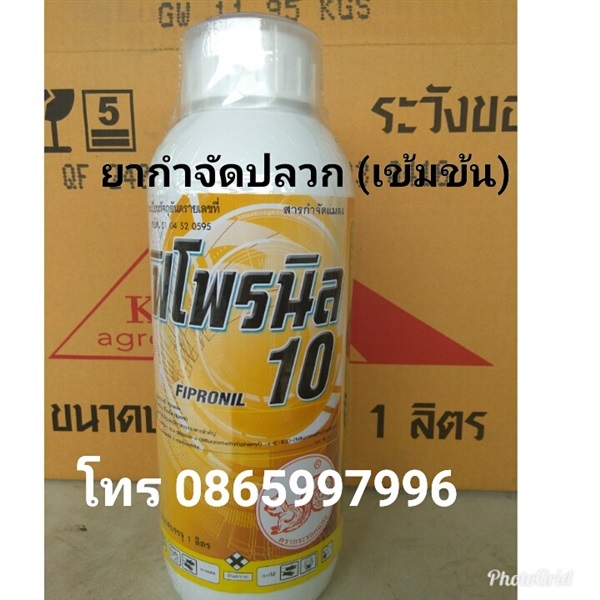 ยากำจัดปลวกฟิโพรนิล10%แรงกว่าแอสเซนด์ | บริษัท ทูเอสโพรเจกต์ จำกัด - วัฒนา กรุงเทพมหานคร