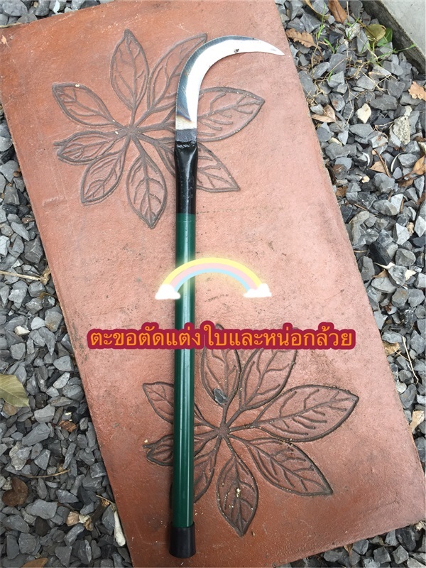 ตะขอตัดแต่งใบและหน่อกล้วย | PlantarLAB - เมืองนครนายก นครนายก