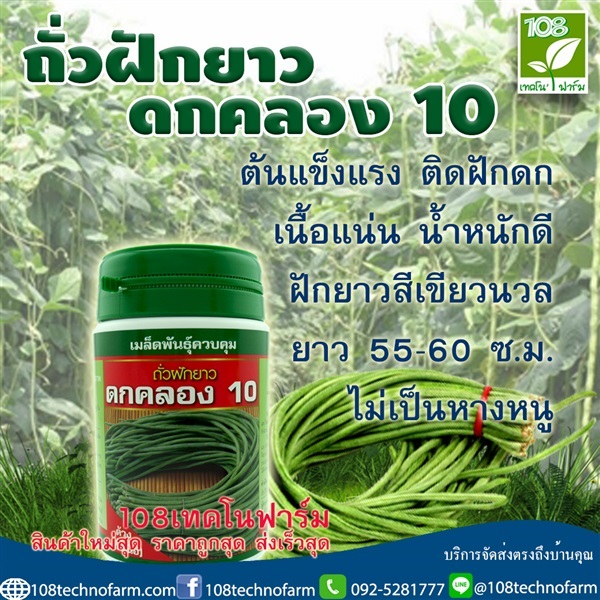 ถั่วฝักยาวดกคลอง10 | 108เทคโนฟาร์ม - มหาราช พระนครศรีอยุธยา