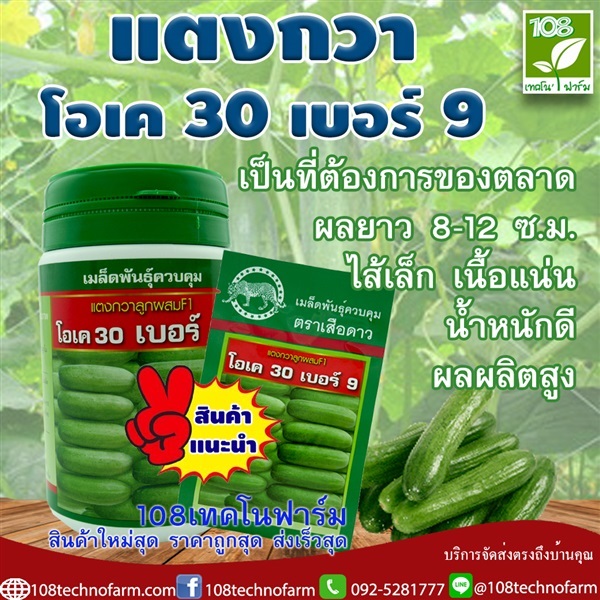 แตงกวาโอเค 30 เบอร์ 9