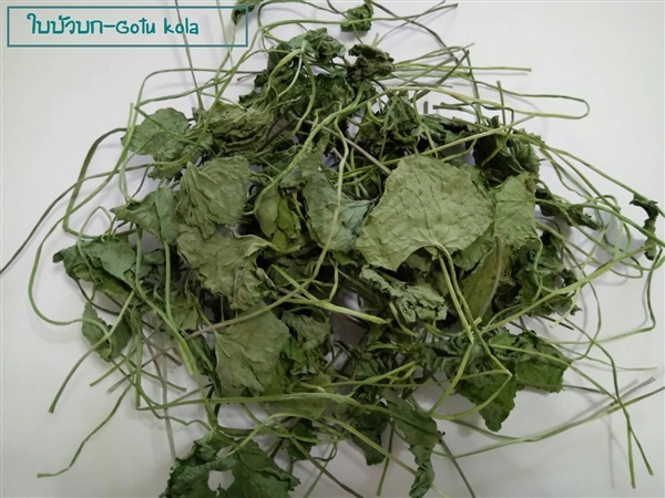 ใบบัวบกแห้ง-Gotu kola | DriedHerbs2U - ลำลูกกา ปทุมธานี