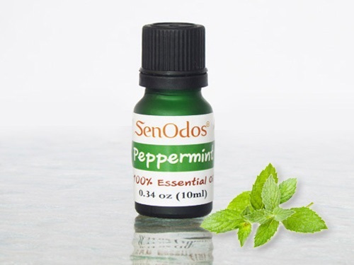 น้ำมันหอมระเหย แท้ กลิ่นเปบเปอร์มิ้นต์ 10ml. | AromaTherapy - คันนายาว กรุงเทพมหานคร