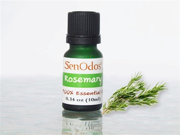 น้ำมันหอมระเหย แท้ กลิ่นโรสแมรี่ 10 ml. | AromaTherapy - คันนายาว กรุงเทพมหานคร