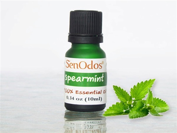 น้ำมันหอมระเหย แท้ กลิ่นสเปียร์มิ้นต์ 10 ml. | AromaTherapy - คันนายาว กรุงเทพมหานคร