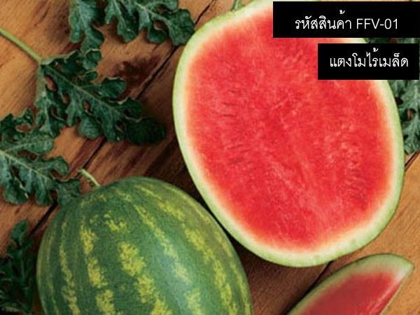 จำหน่ายเมล็ดพันธุ์แตงโมไร้เมล็ด แตงโมไร้เมล็ด คุณภาพดี | thailandseedshop - เมืองสมุทรปราการ สมุทรปราการ