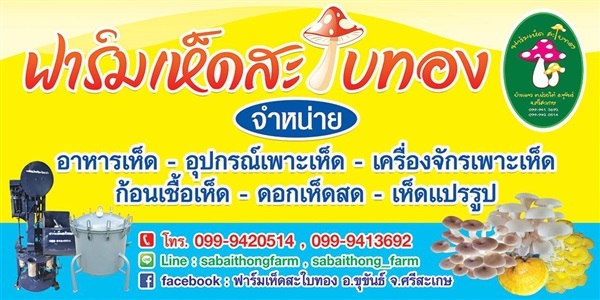 อุปกรณ์เพาะเห็ดครบวงจร | ฟาร์มเห็ดสะใบทอง - ขุขันธ์ ศรีสะเกษ