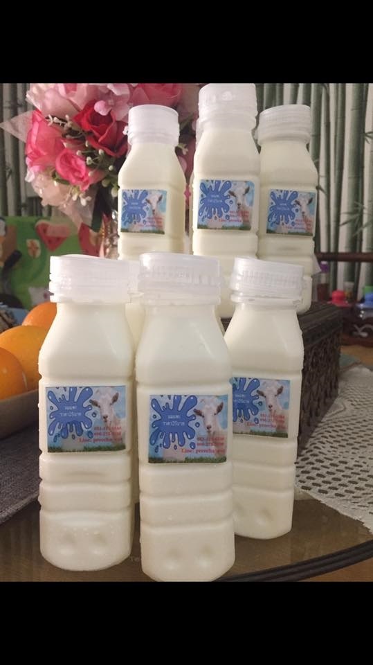 นมแพะ 100% จากฟาร์ม | นมแพะสดจากฟาร์ม - สันกำแพง เชียงใหม่