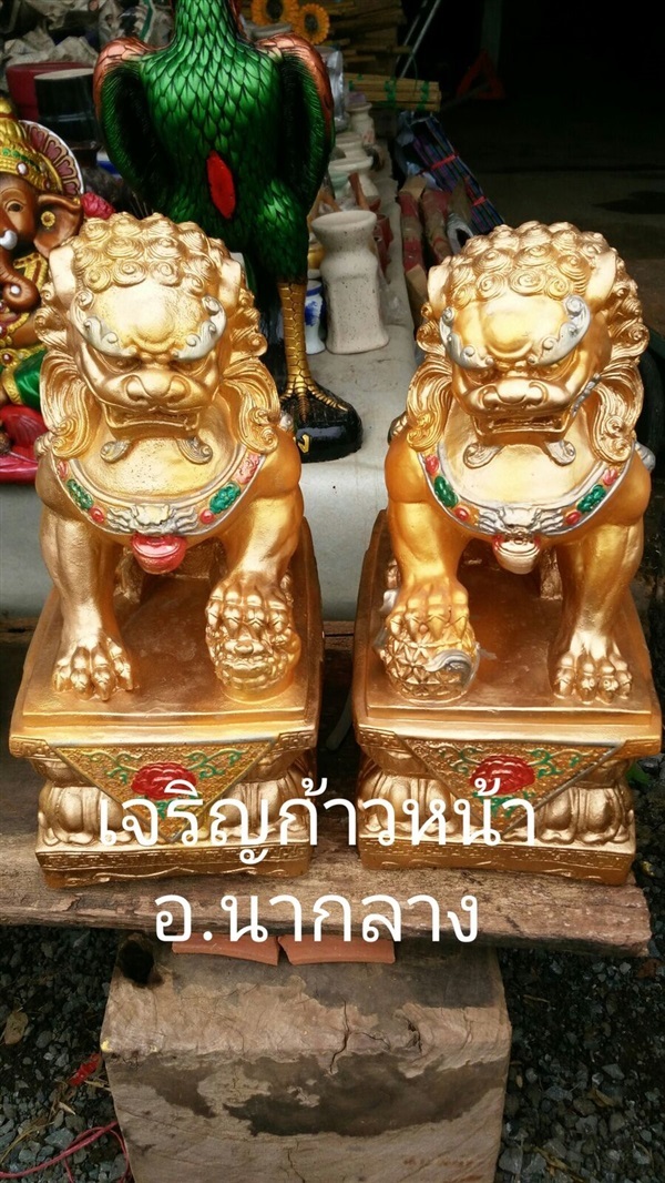 สิงห์ คู่ | เจริญก้าวหน้า - นากลาง หนองบัวลำภู