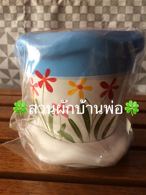 กระถางลายดอกไม้ 4" | สวนผักบ้านพ่อ - เมืองสมุทรปราการ สมุทรปราการ