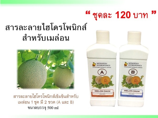 สารละลายปุ๋ยไฮโดรโพนิกส์ ปุ๋ยAB สำหรับเมล่อน | Mono Poly Fruits - เมืองเชียงใหม่ เชียงใหม่