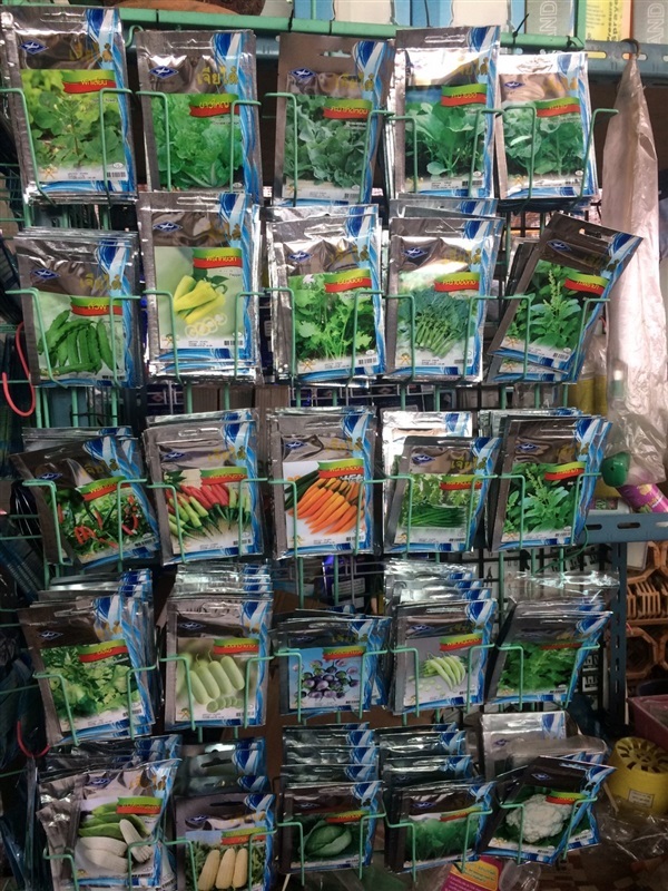 เมล็ดพันธุ์ผัก | ร้านนันทน์มนต์ - บางใหญ่ นนทบุรี