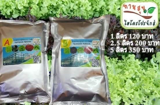 ปุ๋ยA Bแบบแม่ปุ๋ย  | ทานสุข Hydroponic - เมืองฉะเชิงเทรา ฉะเชิงเทรา