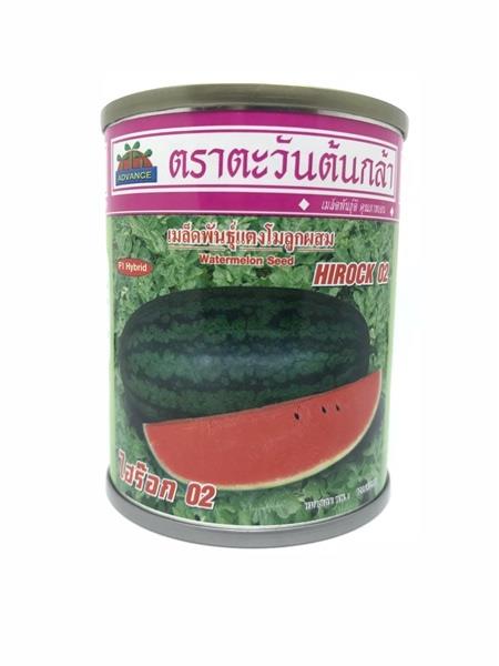 เมล็ดพันธุ์แตงโม ไฮร็อค 02 ตอปิโด