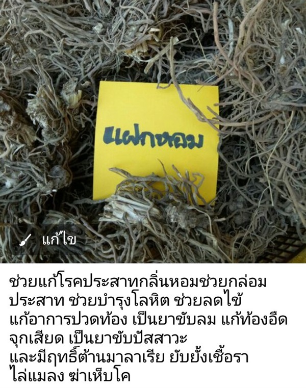 แฝกหอม