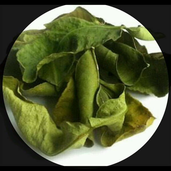 ใบมะกรูด - Kaffir Lime Leaf  | DriedHerbs2U - ลำลูกกา ปทุมธานี