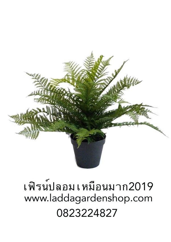 เฟิร์นปลอมกระถางเส้นผ่านศูนย์กลาง 60ซม (Artificial Fern) | laddagarden - ลาดหลุมแก้ว ปทุมธานี