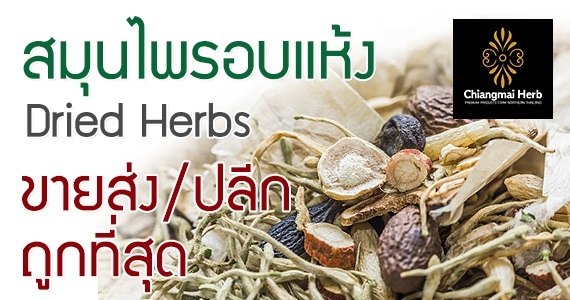 ขายส่ง/ปลีก สมุนไพรอบแห้ง (Dried Herbs) ราคาถูกคุณภาพดี !!!! | ร้านสมุนไพรเชียงใหม่ - เมืองเชียงใหม่ เชียงใหม่