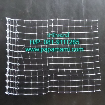 ตาข่ายพลาสติกPP 1.5ม.x30ม. ใส ช่อง 6 หุน  | บ้านป่าป๊า & หม่ามี๊ - บางบัวทอง นนทบุรี