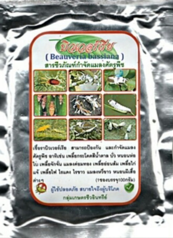 หัวเชื้อราบิวเวอร์เรีย (ป้องกันและควบคุมแมลงศัตรูพืช) | MICRO@FARMERS - บ่อพลอย กาญจนบุรี