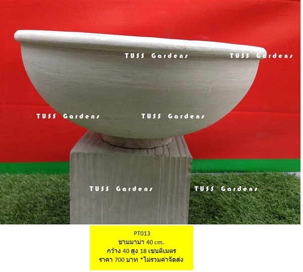 PT013 ชามมาม่า 40 cm. กว้าง 40 สูง 18 เซนติเมตร ราคา 700 บาท | TUSS Gardens ตัส การ์เดนส์ - ศรีราชา ชลบุรี