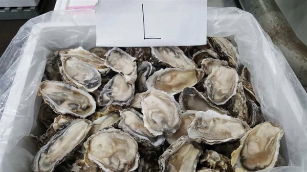 หอยนางรมเกาหลี |   NP Sea Food - เมืองนนทบุรี นนทบุรี