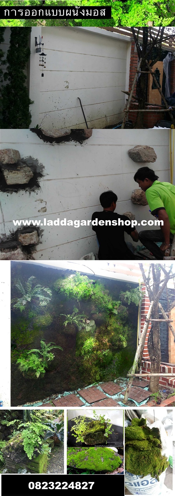 ผนังมอสจริงสำเร็จรูปปี2018 (Ready-made Real Moss Panel) | laddagarden - ลาดหลุมแก้ว ปทุมธานี