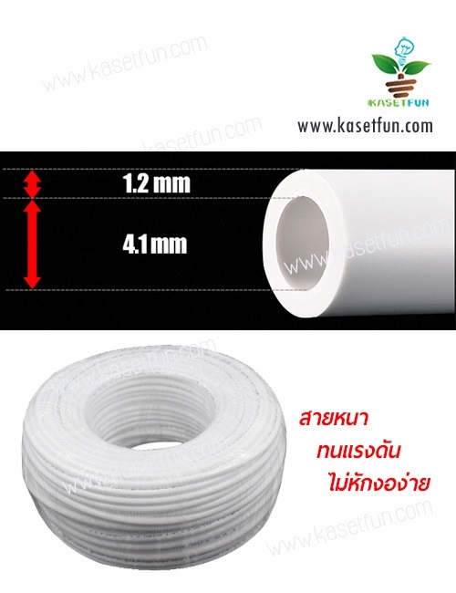 สายพ่นหมอกสีขาว | KasetFun - เมืองระยอง ระยอง