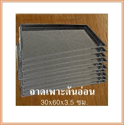 ถาดเพาะต้นอ่อน สำหรับเพาะต้นอ่อนข้าวสาลีต้นอ่อนทานตะวันอื่นๆ | dddorchids - บางกะปิ กรุงเทพมหานคร