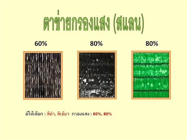 สแลน | บริษัท กิจเมธาเท็กซ์ไทล์ จำกัด - ธัญบุรี ปทุมธานี