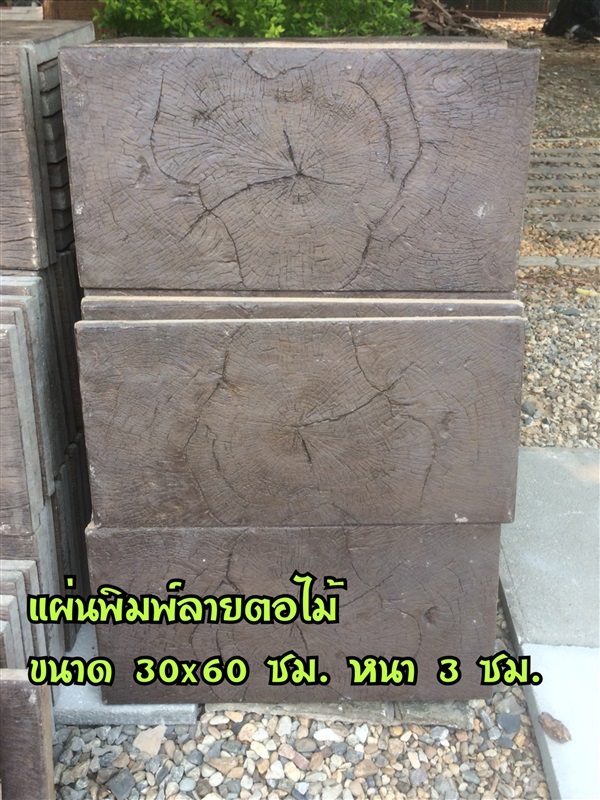 แผ่นทางเดิน | คุณฝน ตลาดคำเที่ยงเชียงใหม่ -  เชียงใหม่