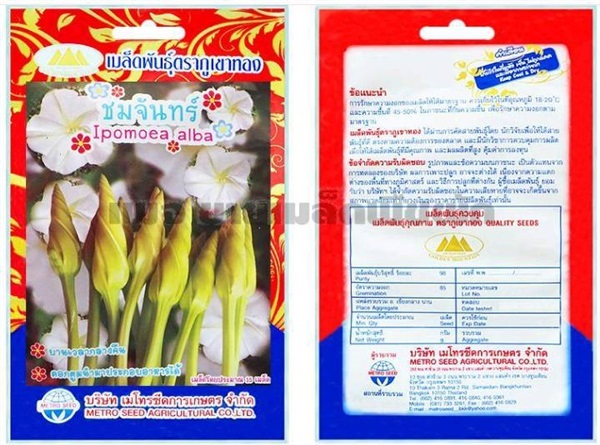 เมล็ดชมจันทร์เป็นซองละ 25 บาทจ้า | Drenglish Garden มหาสารคาม - กันทรวิชัย มหาสารคาม