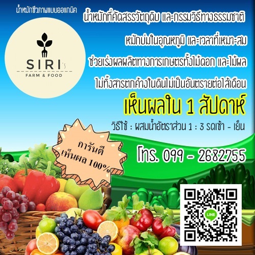 น้ำหมักชีวภาพแบบออแกนิค | SIRI's farm & food - เมืองลำปาง ลำปาง