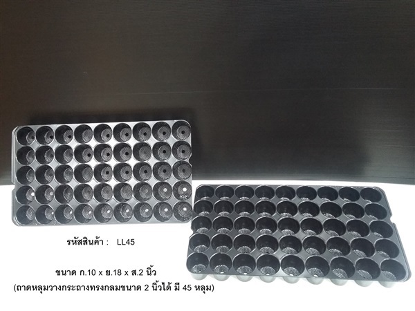 ถาดหลุมเพาะต้นกล้า LL45  | bangnakaset - บางพลี สมุทรปราการ