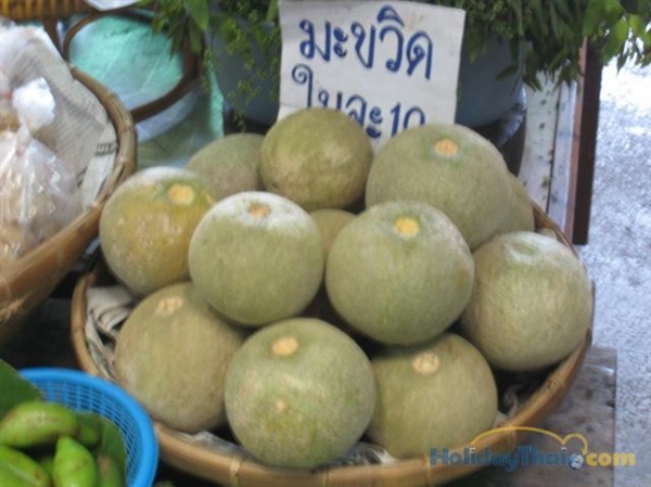 มะขวิด | เมล็ดพันธุ์ดี เกษตรวิถีไทย - เมืองระยอง ระยอง