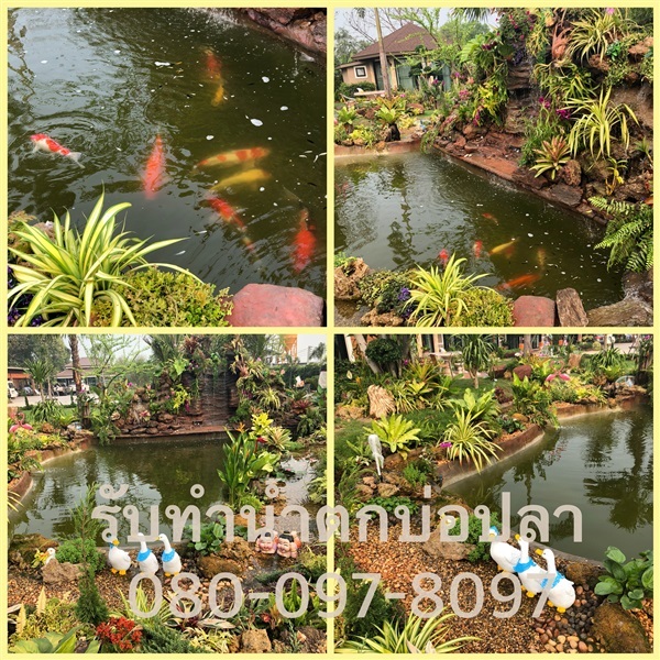 น้ำตก บ่อปลาคราฟ รับทำน้ำพุ รับจัดสวน รับทำสระว่ายน้ำ | คุ้มตราหลวง - คลองสามวา กรุงเทพมหานคร