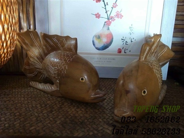 ปลากัดจีน