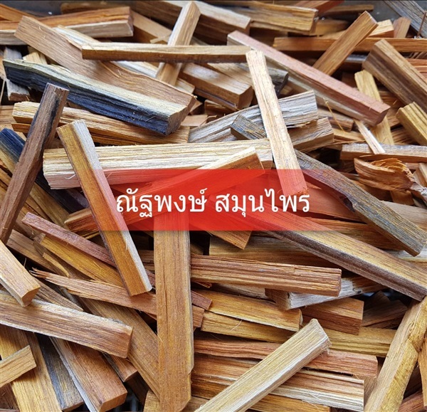 แก่นฝาง | ณัฐพงษ์ สมุนไพร - คลองสามวา กรุงเทพมหานคร