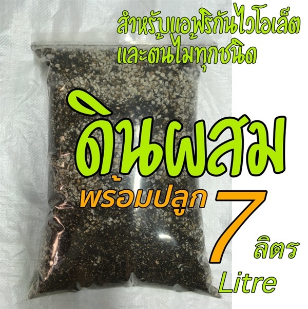 ขาย วัสดุปลูก ดินผสมสำหรับแอฟริกันไวโอเล็ต | แอฟริกันไวโอเล็ต - ลำลูกกา ปทุมธานี