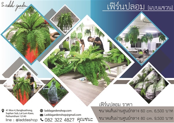 เฟิร์นปลอม (Artificial Fern)