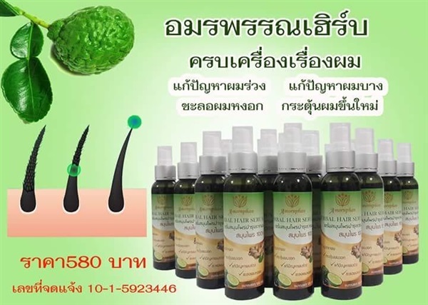 เซรั่มสมุนไพรบำรุงรากผม HERBAL HAIR SERUM 120ML  | อมรพรรณเฮิร์บ - หนองแขม กรุงเทพมหานคร