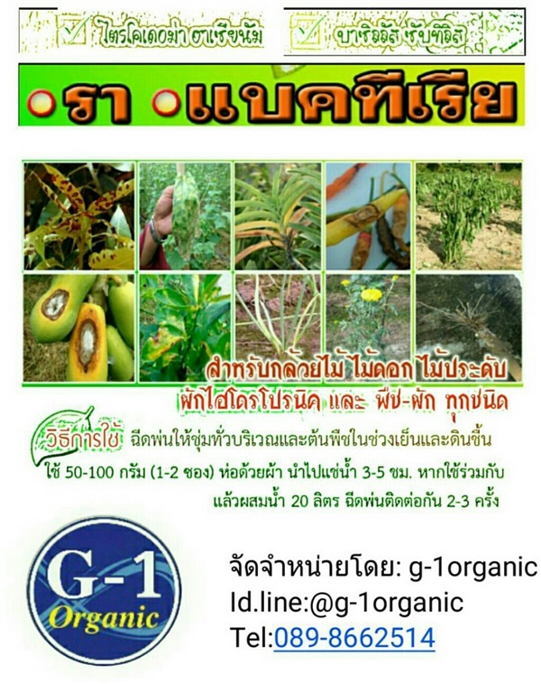 หัวเชื้อจุลินทรีย์ไตรโคเดอร์ม่า+บาซิลัส | G-1 organic - พุนพิน สุราษฎร์ธานี