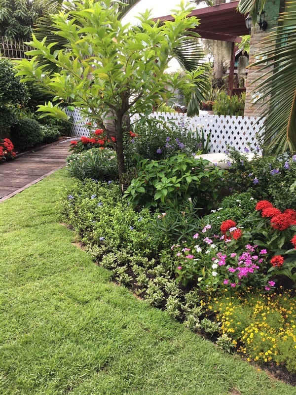 รับจัดสวน ออกแบบได้หลายสไตล์ด้วยฝีมือคุณภาพ | D.garden design - มีนบุรี กรุงเทพมหานคร