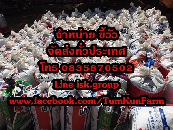 ขี้วัวเเห้ง ราคาส่ง | ฟางข้าวอัดก้อนนครนายก - เมืองนครนายก นครนายก