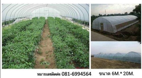 โรงเรือนสำเร็จรูป ขนาด 6*20*3เมตร | FARMTOOLS - ปทุมวัน กรุงเทพมหานคร