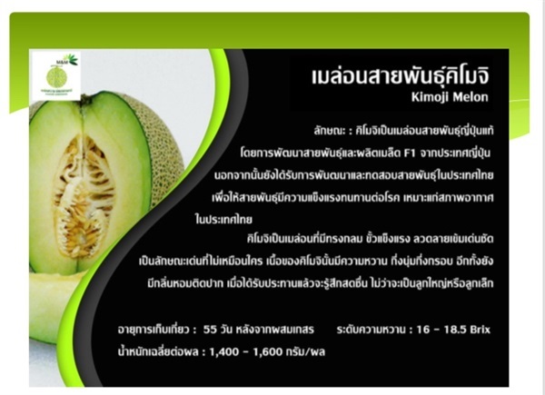 เมล่อนพันธุ์ คิโมจิ | วิสาหกิจชุมชนม่วงสามสิบ ออร์แกนิกฟาร์ม - ม่วงสามสิบ อุบลราชธานี